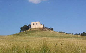 Paesaggi già visti di Pietro Amendolara 1369 0 Paesaggi già visti di Pietro Amendolara.JPG